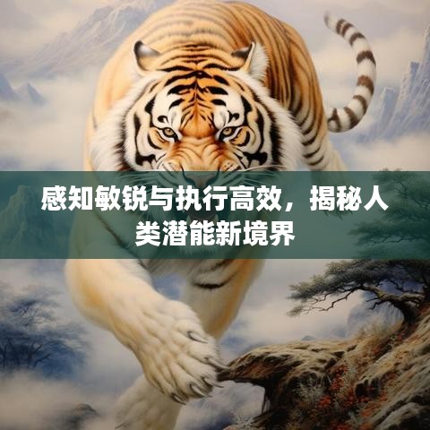 感知敏銳與執(zhí)行高效，揭秘人類潛能新境界