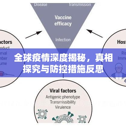 全球疫情深度揭秘，真相探究與防控措施反思