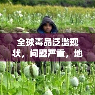 全球毒品泛濫現(xiàn)狀，問題嚴重，地區(qū)排名與治理挑戰(zhàn)