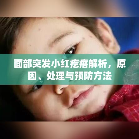 面部突發(fā)小紅疙瘩解析，原因、處理與預(yù)防方法