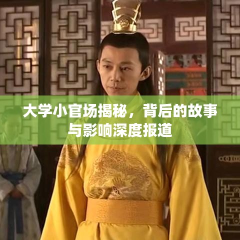 大學(xué)小官場揭秘，背后的故事與影響深度報道