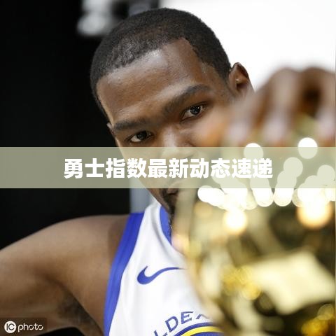 勇士指數最新動態(tài)速遞