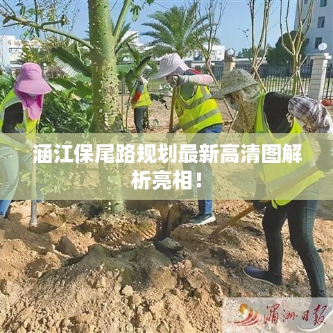 涵江保尾路規(guī)劃最新高清圖解析亮相！