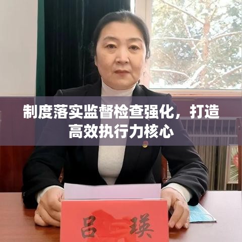 制度落實(shí)監(jiān)督檢查強(qiáng)化，打造高效執(zhí)行力核心