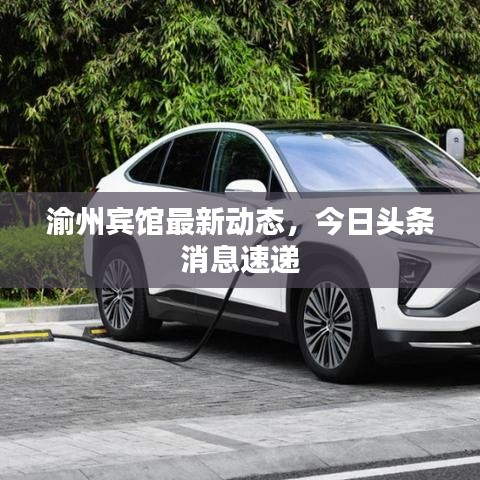 渝州賓館最新動(dòng)態(tài)，今日頭條消息速遞