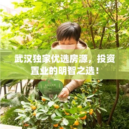 武漢獨(dú)家優(yōu)選房源，投資置業(yè)的明智之選！