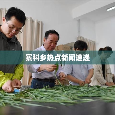 寨科鄉(xiāng)熱點新聞速遞