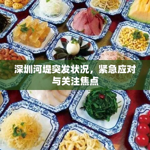 深圳河堤突發(fā)狀況，緊急應(yīng)對與關(guān)注焦點