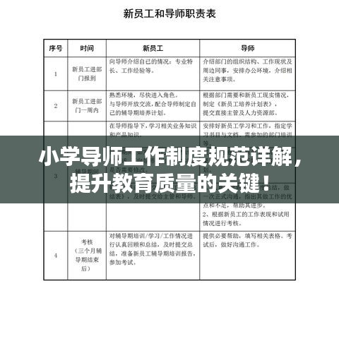 小學(xué)導(dǎo)師工作制度規(guī)范詳解，提升教育質(zhì)量的關(guān)鍵！