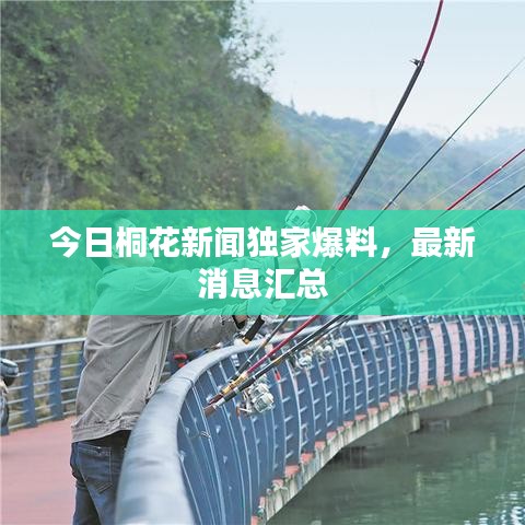今日桐花新聞獨(dú)家爆料，最新消息匯總