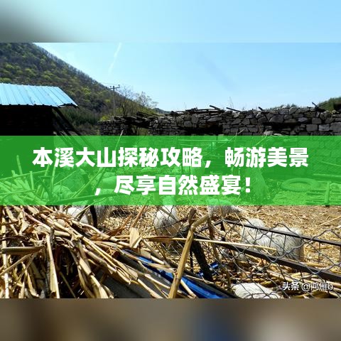 本溪大山探秘攻略，暢游美景，盡享自然盛宴！