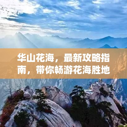 華山花海，最新攻略指南，帶你暢游花海勝地！