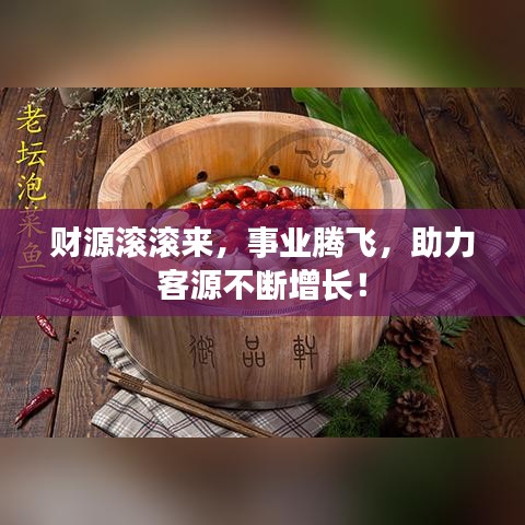 財源滾滾來，事業(yè)騰飛，助力客源不斷增長！
