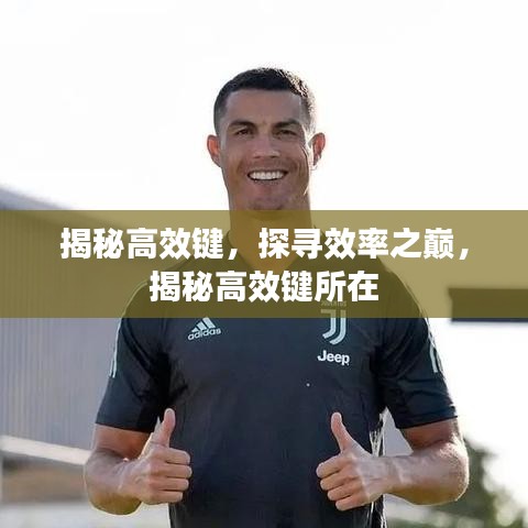 揭秘高效鍵，探尋效率之巔，揭秘高效鍵所在