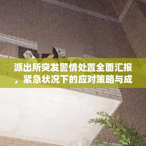 派出所突發(fā)警情處置全面匯報(bào)，緊急狀況下的應(yīng)對(duì)策略與成效分析