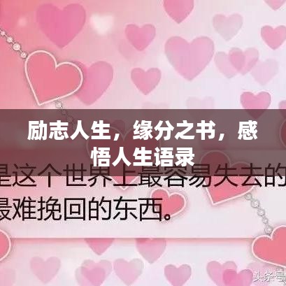 勵(lì)志人生，緣分之書(shū)，感悟人生語(yǔ)錄