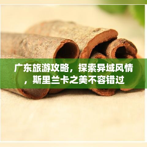 廣東旅游攻略，探索異域風(fēng)情，斯里蘭卡之美不容錯過