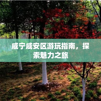 鳥語花香 第2頁