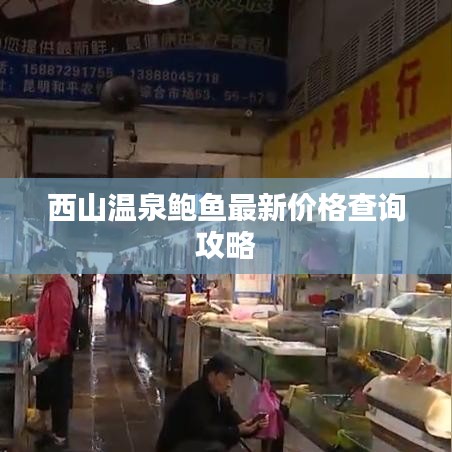 西山溫泉鮑魚最新價(jià)格查詢攻略
