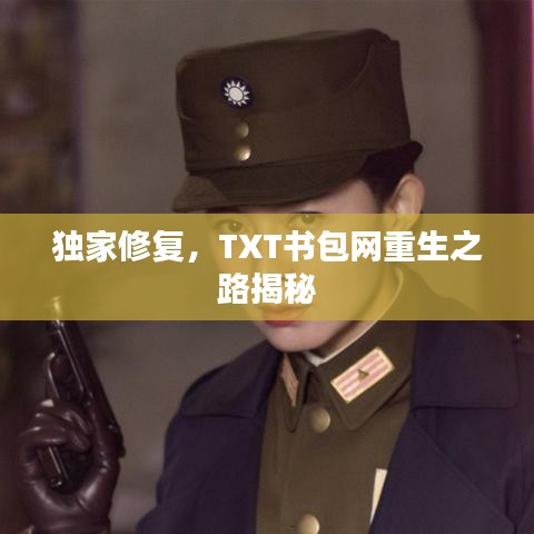 獨(dú)家修復(fù)，TXT書(shū)包網(wǎng)重生之路揭秘