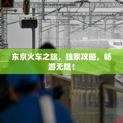 東京火車之旅，獨家攻略，暢游無阻！