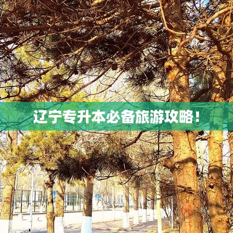 遼寧專升本必備旅游攻略！
