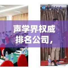 聲學界權(quán)威排名公司，引領聲學技術潮流的先鋒領航者