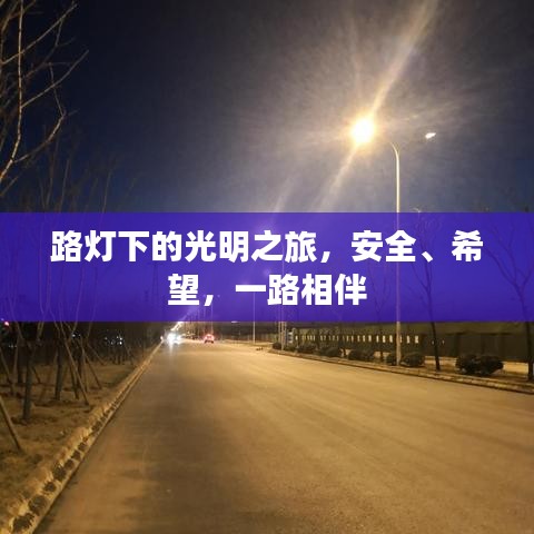 路燈下的光明之旅，安全、希望，一路相伴