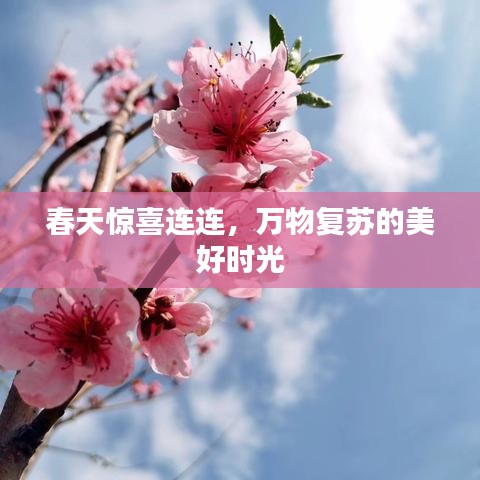 春天驚喜連連，萬物復(fù)蘇的美好時光