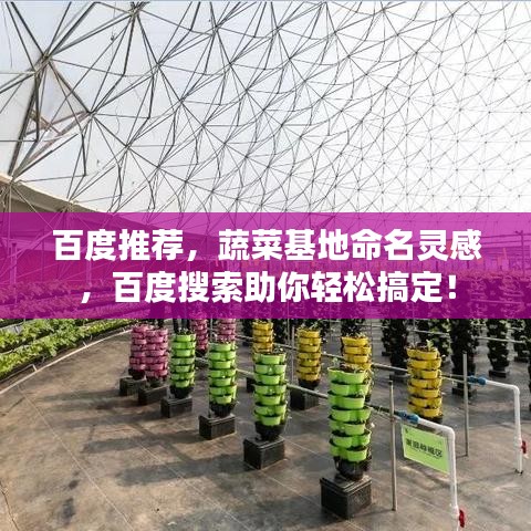 百度推薦，蔬菜基地命名靈感，百度搜索助你輕松搞定！