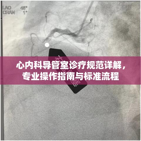 心內科導管室診療規(guī)范詳解，專業(yè)操作指南與標準流程