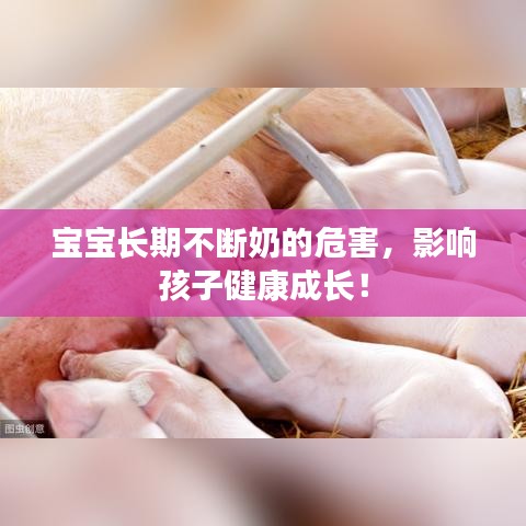 寶寶長期不斷奶的危害，影響孩子健康成長！