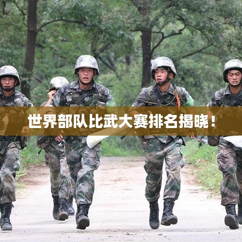 世界部隊(duì)比武大賽排名揭曉！