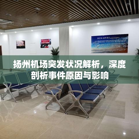 揚州機場突發(fā)狀況解析，深度剖析事件原因與影響