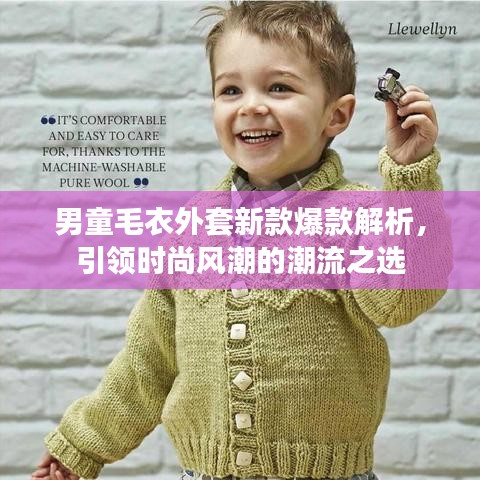男童毛衣外套新款爆款解析，引領(lǐng)時尚風(fēng)潮的潮流之選