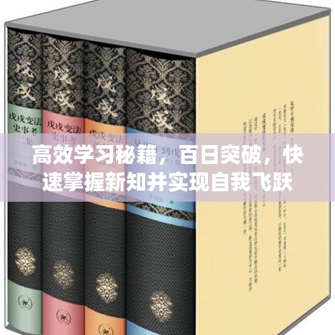 高效學(xué)習(xí)秘籍，百日突破，快速掌握新知并實(shí)現(xiàn)自我飛躍