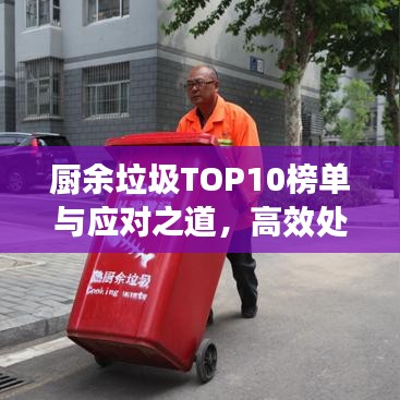 廚余垃圾TOP10榜單與應(yīng)對(duì)之道，高效處理策略揭秘