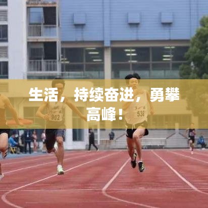 生活，持續(xù)奮進(jìn)，勇攀高峰！