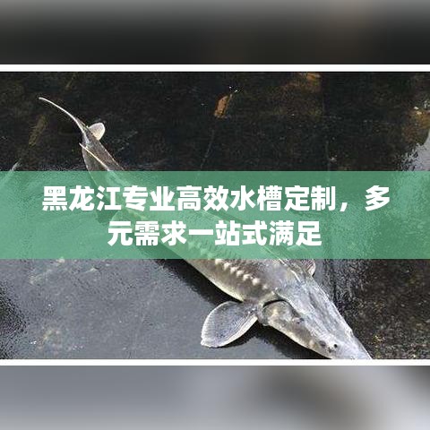 黑龍江專業(yè)高效水槽定制，多元需求一站式滿足