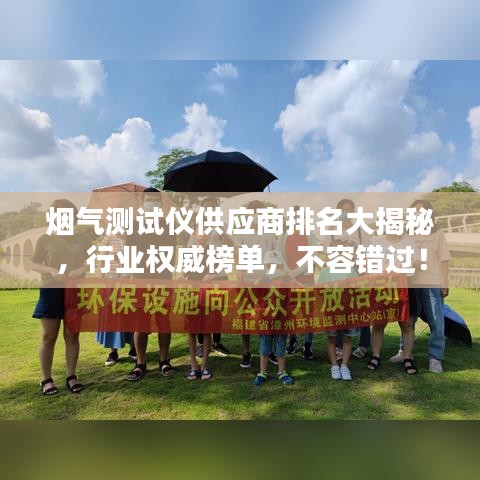 煙氣測試儀供應(yīng)商排名大揭秘，行業(yè)權(quán)威榜單，不容錯過！