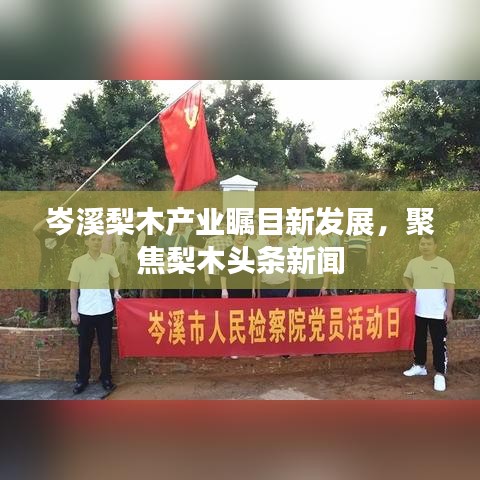 岑溪梨木產(chǎn)業(yè)矚目新發(fā)展，聚焦梨木頭條新聞