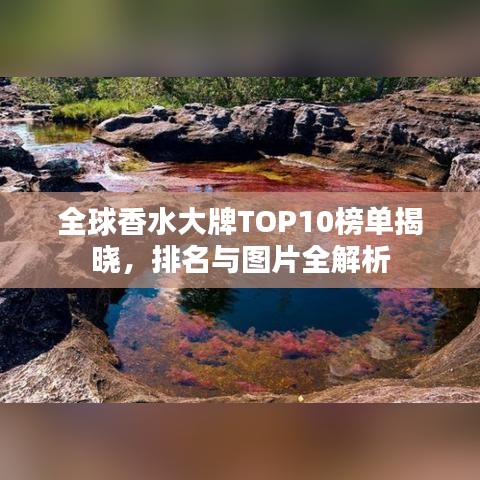 全球香水大牌TOP10榜單揭曉，排名與圖片全解析