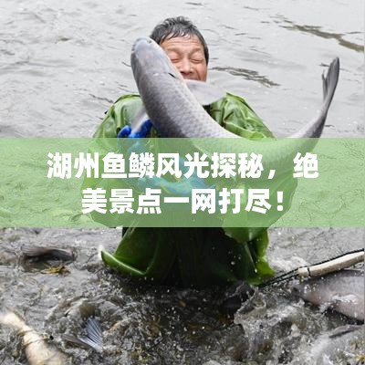 湖州魚鱗風(fēng)光探秘，絕美景點(diǎn)一網(wǎng)打盡！