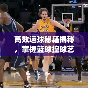 高效運(yùn)球秘籍揭秘，掌握籃球控球藝術(shù)的關(guān)鍵要領(lǐng)