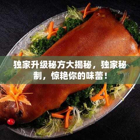 獨(dú)家升級(jí)秘方大揭秘，獨(dú)家秘制，驚艷你的味蕾！