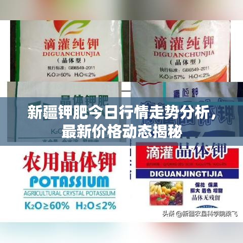 新疆鉀肥今日行情走勢分析，最新價格動態(tài)揭秘