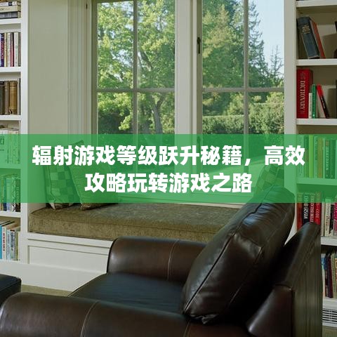 輻射游戲等級(jí)躍升秘籍，高效攻略玩轉(zhuǎn)游戲之路