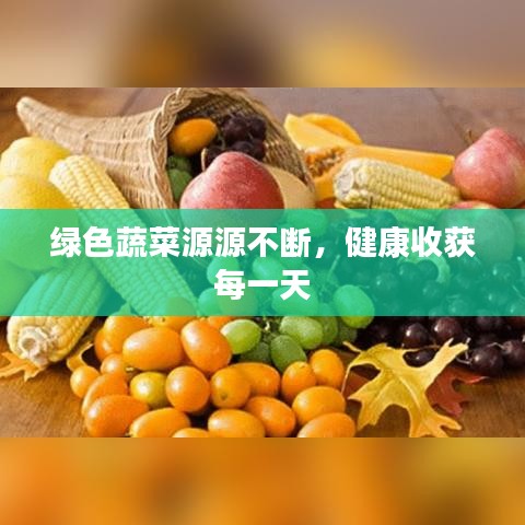 綠色蔬菜源源不斷，健康收獲每一天