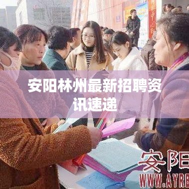 安陽林州最新招聘資訊速遞