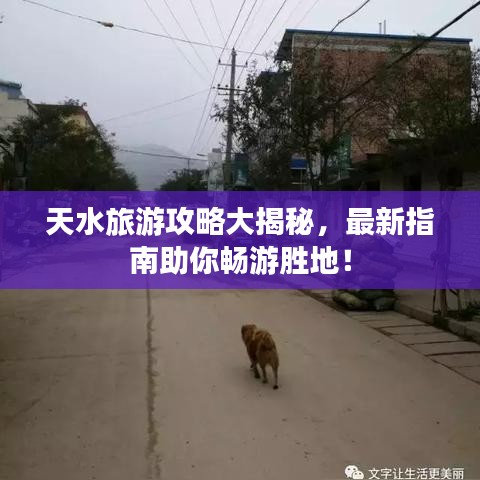 天水旅游攻略大揭秘，最新指南助你暢游勝地！